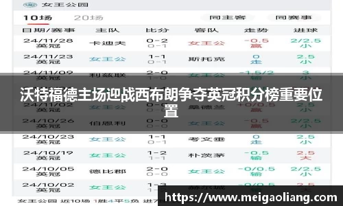 沃特福德主场迎战西布朗争夺英冠积分榜重要位置