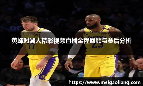 黄蜂对湖人精彩视频直播全程回顾与赛后分析