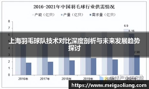 上海羽毛球队技术对比深度剖析与未来发展趋势探讨
